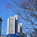 양지약국 | 분당 지역소개 - "왜 양지마을은 매물이 안 나올까?"