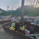 고성캠핑장 급하게 예약하고 갔던 고성라벤더캠핑장