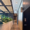 브리드 바이 마티에 이미지