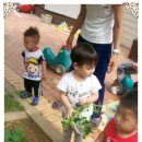시립보듬이나눔이 어린이집 네이버블로그
