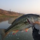 청도천7 이미지