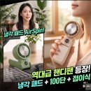 NEXTU 에어스핀 F4 휴대용 선풍기 솔직 사용 후기