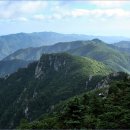 오대산 달빛 이미지