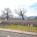 휴스피아 | [맛집]경주 가성비 스시 맛집 담다 내돈내산 3인 세트메뉴 양, 후기