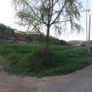 공숙공 정괄묘역 이미지