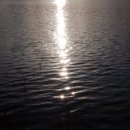 너와의 산책 이미지