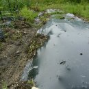 화실농장2 이미지