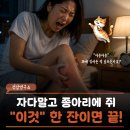 (주)아워홈원주세브란스기독병원점 | 자다가 "고양이 소리내던 밤" 다리 쥐나는 이유 나이 탓이 아니었어요