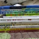 마녀의황금새벽 이미지