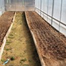 이쁜농장 이미지