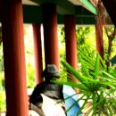 구룡공원 이미지