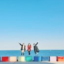 (주)우진여행사 | 12월 겨울 제주도 우정여행후기 ( 버스투어, 서쪽, 아시아나, 비행기차액환불, 가격포함, 우진해장국😍)