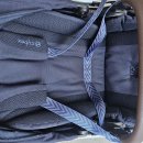 Cybex Gazelle S 2세대 팝니다 이미지