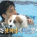 나혼자산다 임수향 킹크랩 망치찜 식당-제주 카트레이싱 파크 가격-정보? 성훈x양희 펫수영장 용인...
