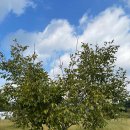 사계절농장 이미지