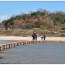 영주 무섬마을 이미지