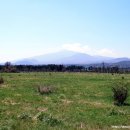 송천목장 이미지