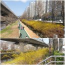 개나리식자재마트 이미지