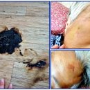 에덴복지요양센터 이미지