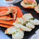 해림대게 | 부산 기장 대게맛집 추천 해림대게 든든하게 먹고 온 후기