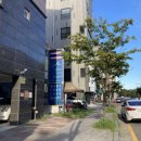 [대전 태국음식 맛집] 씨암타이스토리, SIAMTHAI STORY