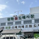 [서울 양재] 국내 최대규모 화훼시장에서의 이른 봄 맞이💐_양재 꽃시장