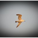 냉정 낚시터 이미지