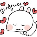 온빛동물병원 이미지