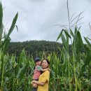 사랑목장 | 4살 아이와 목장체험 환희목장 후사랑밀크 다녀온 후기