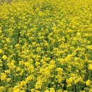 유구농장 이미지