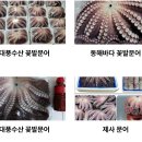 대풍 티스토리