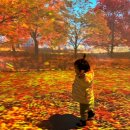 홀리데이 인 밀양 | 1박2일 돌아기랑 경주여행, 황리단길 맛집 료코 럽떡 / 숭문대 전시관 무료관람 후기