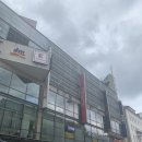 독일 유럽최대 전자제품매장 <b>Mediamarkt</b>, Zitruspresse레몬프레서