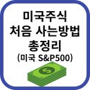 2020-500 | 미국 주식 처음 사는 법 총정리 - 환전 없이 S&P500 직접 투자한 후기
