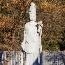 금화사 이미지