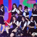 위키미키 카카오 검색결과