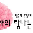 앤하우스(annhouse) 이미지
