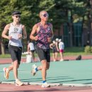 아르피아 이미지