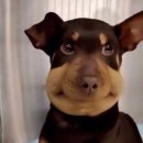 잠실숲사랑니구강악안면외과치과의원 이미지