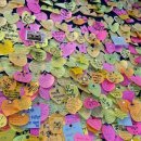 가족사랑 장례토탈서비스 이미지