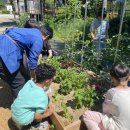 횡성초등학교 이미지