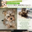 엔디 이미지