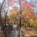 태평로55번길 이미지