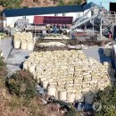 박지호농장 이미지