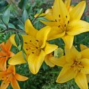 만년식당 이미지