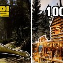 더 포레스트 이미지