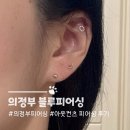 의정부역 블루피어싱 아웃컨츠 피어싱 귀 뚫은 후기