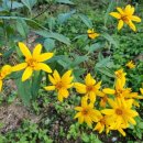 문기 농장 이미지