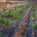 녹동농장 이미지