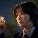 본나인 이미지